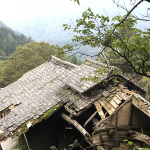 Earth, Wood, Dry Hay